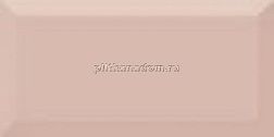 Absolut Keramika Tea 10х20 Monocolor Salmon Настенная плитка 10х20 см