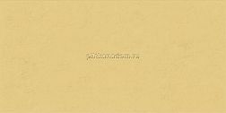 ABK Group Wide & Style Mini Ginger Rett Желтая Матовая Ректифицированная Настенная плитка 60x120 см