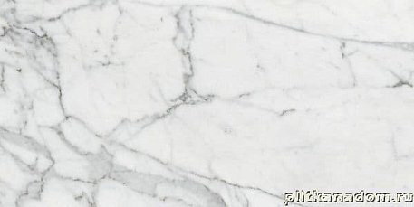 Kerranova Marble Trend Carrara K-1000-MR-S1 Керамогранит 30x60