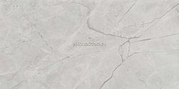 Laparet Connect SG50002922R Gris Серый Полированный Керамогранит 59,5х119,1 см
