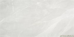 Stylnul (STN Ceramica) Tango Pearl Satin Rect Серый Сатинированный Керамогранит 59,5x120 см