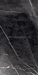 Primavera GR203 Fedele Negro High glossy Керамогранит 60x120 см