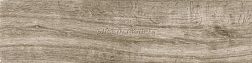 Halcon Ceramicas Wild PRI Beige Керамогранит 15,3x58,9 см