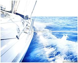 Cerrol Formula Velero-2 B Панно (из 2-х плиток) 40х50 см
