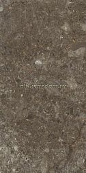 Flavour Granito William Grey Glossy Керамогранит 80х160 см