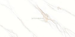 Azori Statuario Gold Mix 8 Керамогранит R 120х60 см