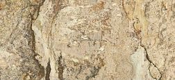 Zodiac Ceramica Shangri-La Коричневый Глянцевый Керамогранит 120x270 см