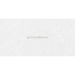 Laparet Rubio 18-00-06-3618 Светло-серая Глянцевая Настенная плитка 30х60 см