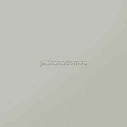 Керамика будущего(CF Systems) Моноколор CF UF 002 Св. серый Керамогранит матовый Rett 60х60 см