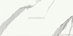 Altacera Vertus Calacatta WT9VET15 Плитка настенная 24,9x50