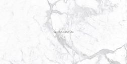 Staro Palacio Proven Polished Керамогранит 60x120