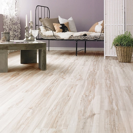 Sunfloor 12