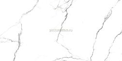 Primavera Acothly Керамогранит PR234 Polished 60x120
