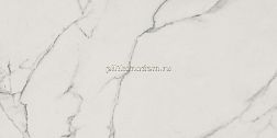 ABK Group Sensi Statuario White Керамогранит 60х120 см