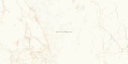 Atlas Concorde Marvel Shine Calacatta Delicato Lappato Белый Лаппатированный Керамогранит 60х120 см