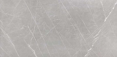 Hafez Alireza Naanakar Gray 16037 Grad 1 Серый Матовый Керамогранит 80x160 см