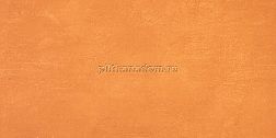 Atlas Concorde Ewall Orange Настенная плитка 40х80 см