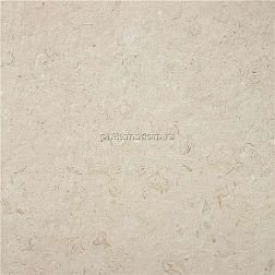 Stylnul (STN Ceramica) Inout Caliope Beige Rect Бежевый Матовый Ректифицированный Керамогранит 60х60 см