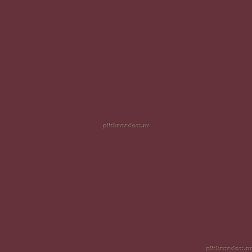 Creto Mono Wine Бордовая Глянцевая Настенная плитка 30х60 см