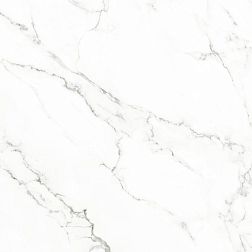 Realistik Carrara RC WY Белый Матовый Керамогранит 60x60 см