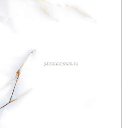 Pardis Ceramic Pazh 166295 Barselona Белый Полированный Керамогранит 60х60 см