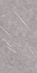 Fakhar Ottawa Dark Gray Серый Глянцевый Керамогранит 50х100 см