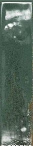Ecoceramic Asly Green Rev. Зеленая Глянцевая Настенная плитка 7,5x30 см