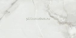 Pamesa Ceramica Fenix Gris Серый Полированный Керамогранит 60x120 см