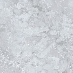 Dako Genio E-3019MR Серый Матовый Керамогранит 60х60 см