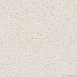 Rako Porfido DAS63813 Кеамоганит 60x60 см