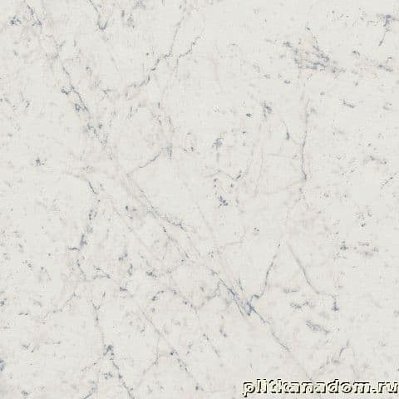 Italon Charme Extra 610010001188 Carrara Ret Керамогранит 60x60 см