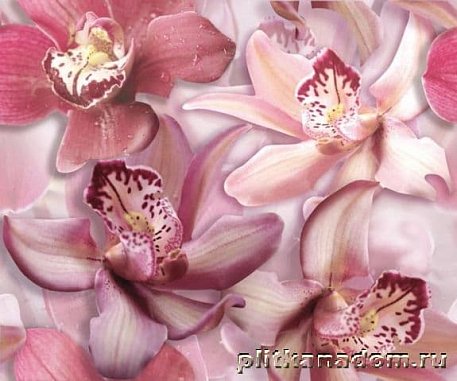Cerrol Porto flowers orchide lila Панно (из 2-х штук) 60x50