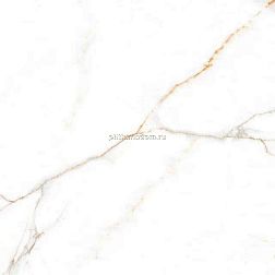 LV Granito Austrain Natural Glossy Керамогранит 60х60 см