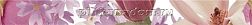Ibero Charme Cenefa Amour Violet Бордюр 4,3х50 см