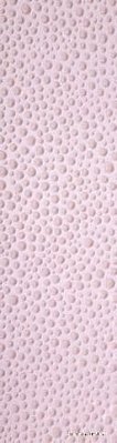 Fap Ceramiche Pura Rosa Pioggia Inserto Декор 15x56