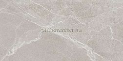 Lasselsberger-Ceramics Диккенс 6260-0228 Светло-бежевый Матовый Керамогранит 30х60 см