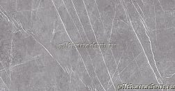 Museum Museum-P Greystone Argent EP Керамогранит полированный 60х120 см