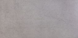 Goldis Tile Modena AOKP NAOA Gray Rect Серый Матовый Ректифицированный Керамогранит 59,7x119,8 см