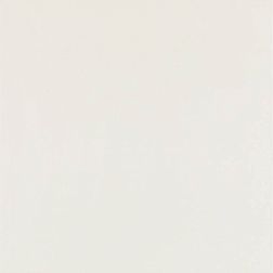 Paradyz Elegant Surface Bianco Напольная плитка 59,8x59,8 см