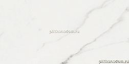 Baldocer Polaris Brillo Rectificado Настенная плитка 30x60 см