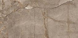 Embito Granito Patrin Brown Golden Glossy Carving GS Керамогранит 60х120 см