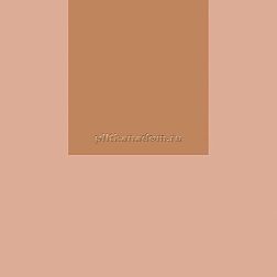 Ceramica Fioranese Italian Landscape Firenze_B Керамогранит 20,5х20,5 см