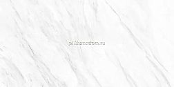 Ocean Ceramic Иран Adalina Керамогранит 60х120 см