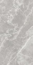 Fakhar Alp Dark Gray Серый Матовый Керамогранит 60х120 см