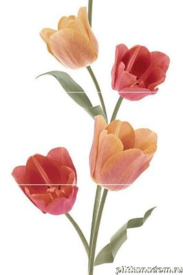 Keros Varna Tulips Calidos Панно 50х75 (из 3-х плиток)