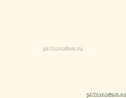 Rako Concept Plus WAAKB007 Wall tile Настенная плитка 25x33 см
