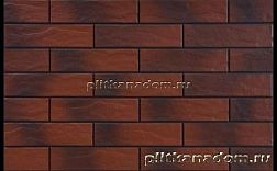Cerrad Earth Rot 9539 Rustic Настенная плитка 24,5х6,5х0,65 см