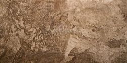 Seranit Fossil  Brown Full Lappato керамогранит 600x1200 см