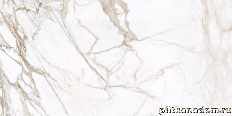 Kerranova Marble Trend Calacatta K-1001-MR-S1 Керамогранит 30x60 см