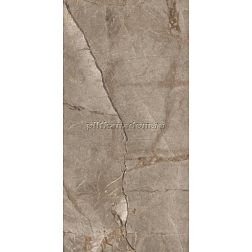 Belleza Керамогранит PATRIN BROWN (GOLDEN GLOSSY CARVING) 60x120